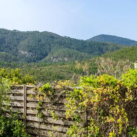 Rez-de-villa Avec Piscine * Mandelieu